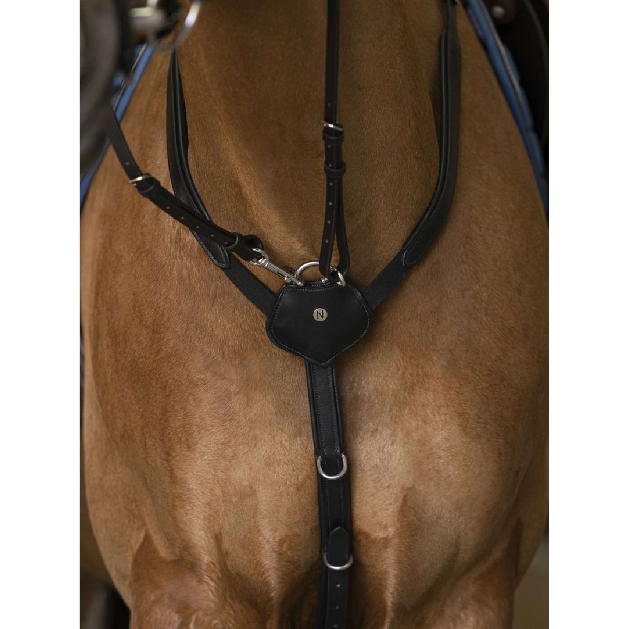 Norton Collier de Chasse Pro Confort Noir Norton Collier de Chasse Pro Confort Noir