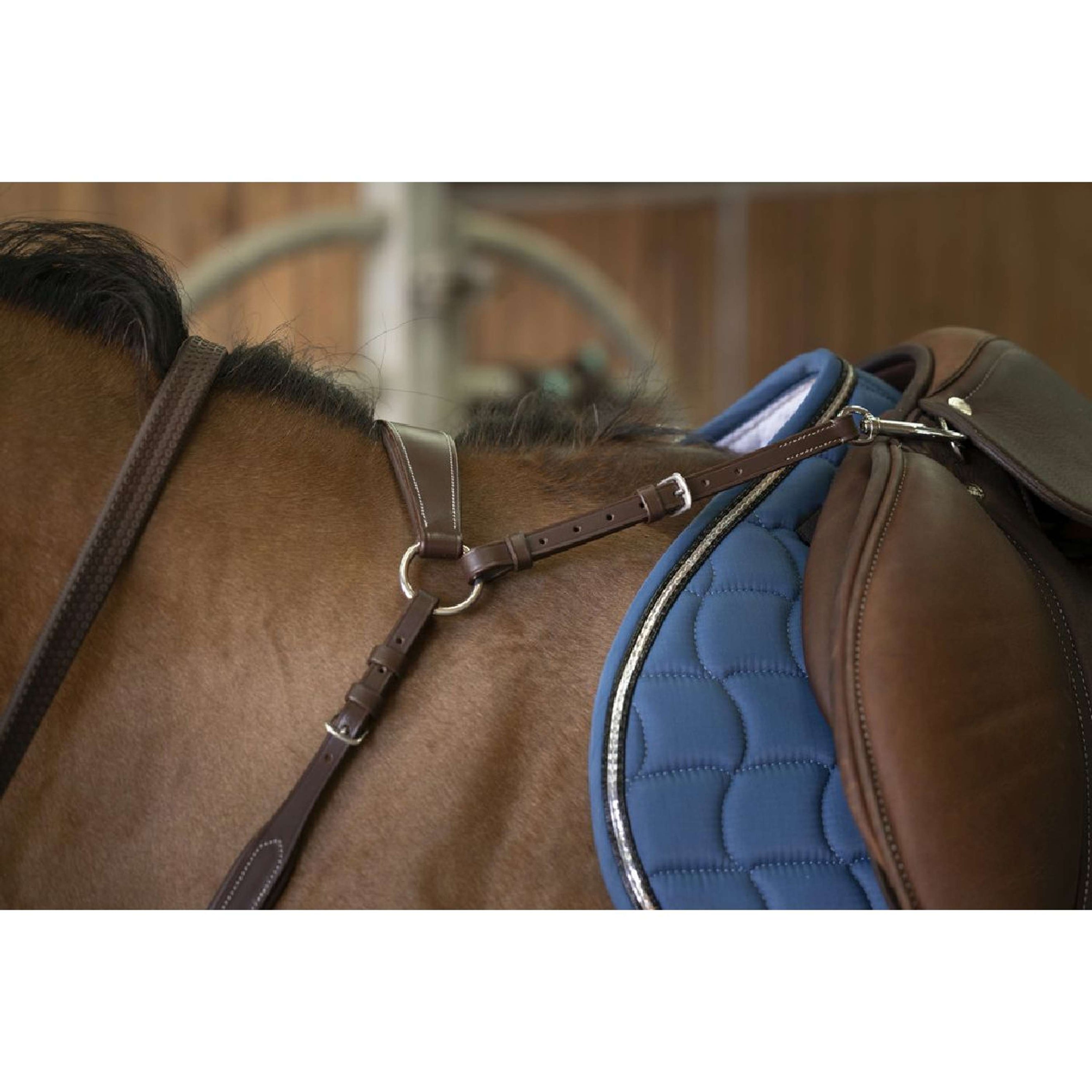 Norton Collier de Chasse Pro Confort Havane Norton Collier de Chasse Pro Confort Havane