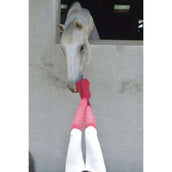 EQUITHÈME Chaussettes Résille Fuchsia