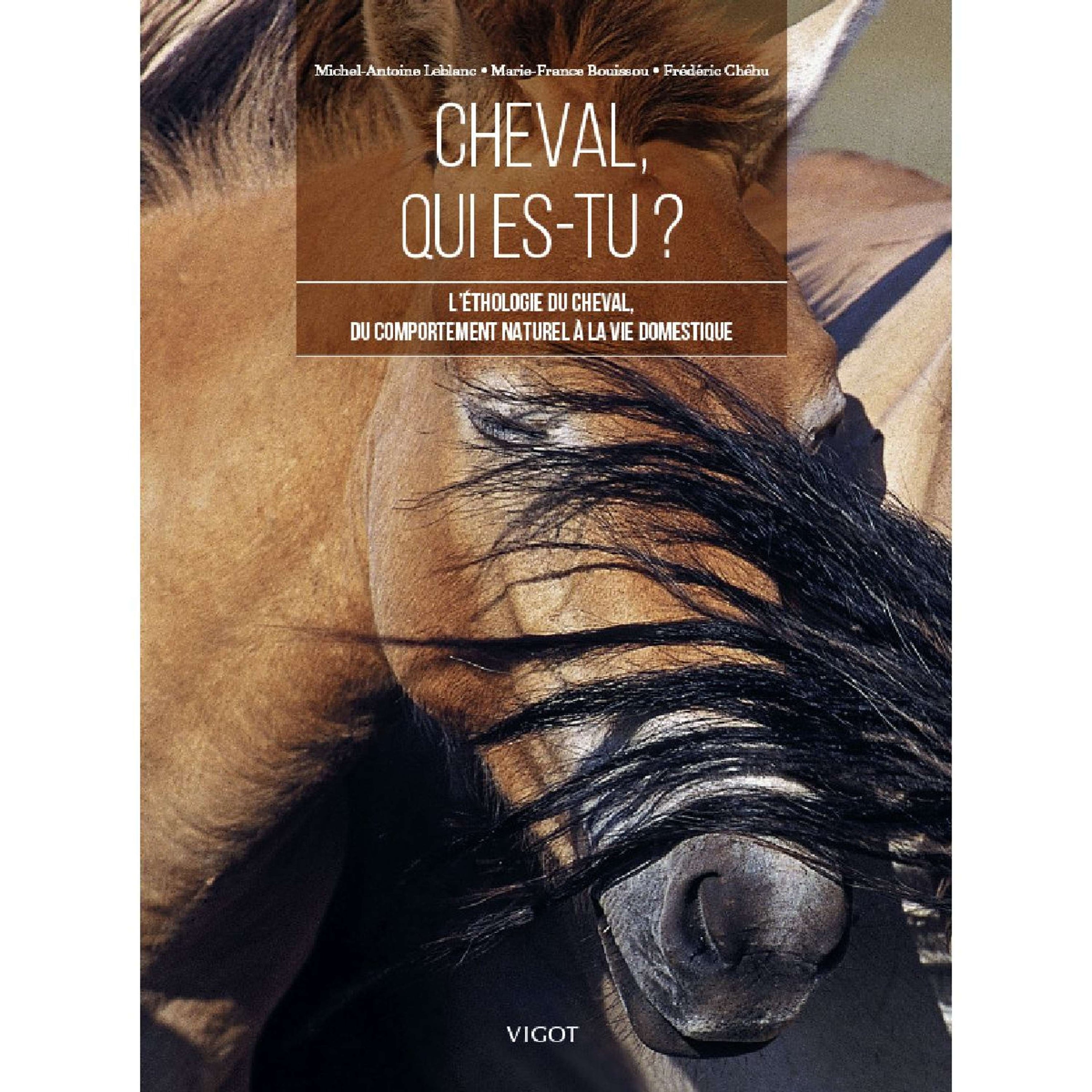 Vigot Cheval qui es-tu?