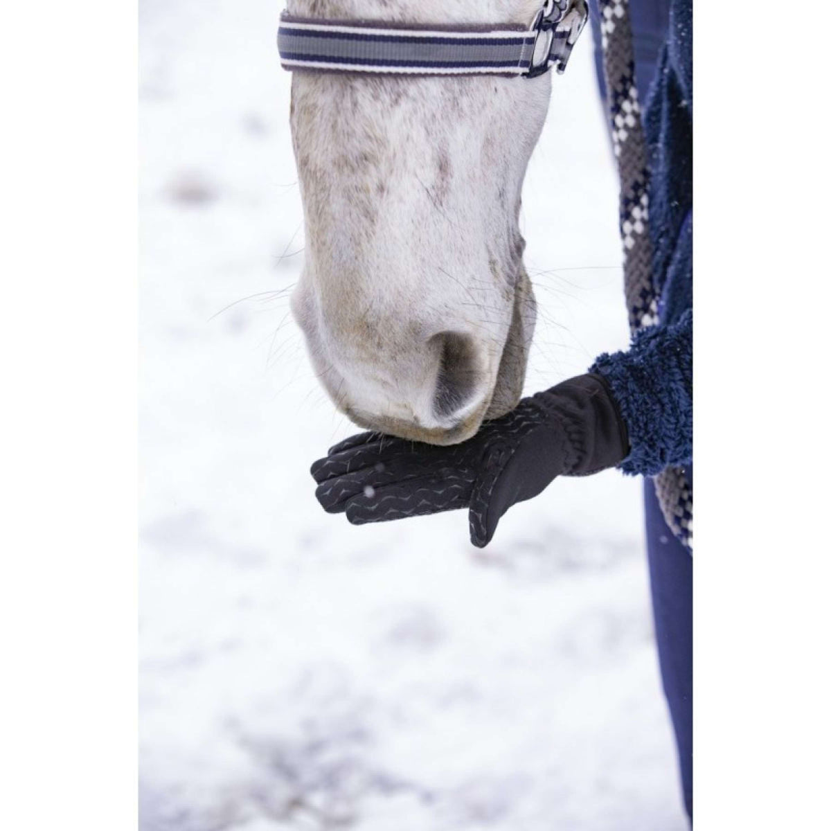 EQUITHÈME Gants d'Équitation Hiver Noir