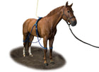Equine Legcooler Soutien du Système Respiratoire Bronchix Liq Type 1 for 4 Legs