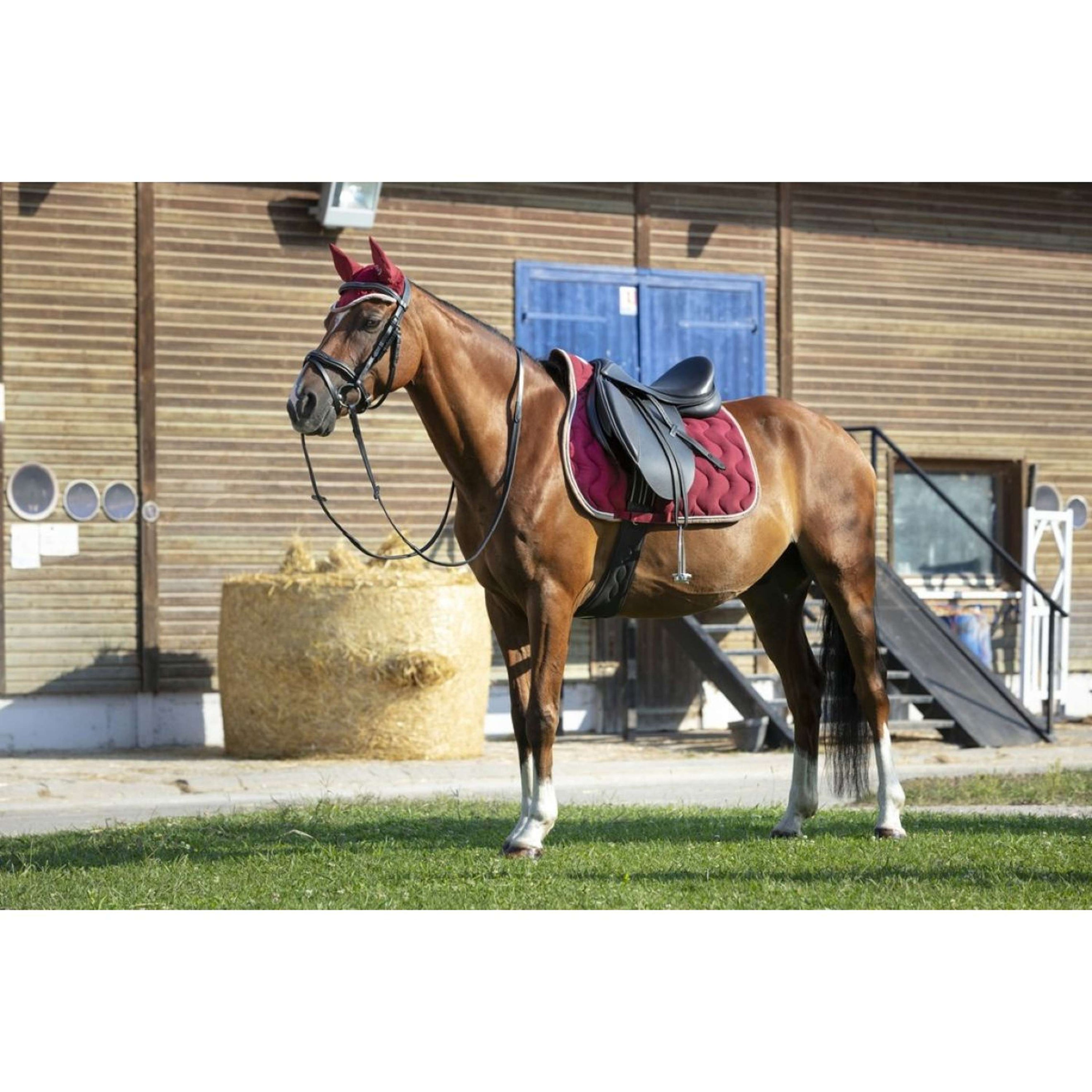 EQUITHÈME Bonnet Anti-Mouches Polyfun Bordeaux/Taupe EQUITHÈME Bonnet Anti-Mouches Polyfun Bordeaux/Taupe
