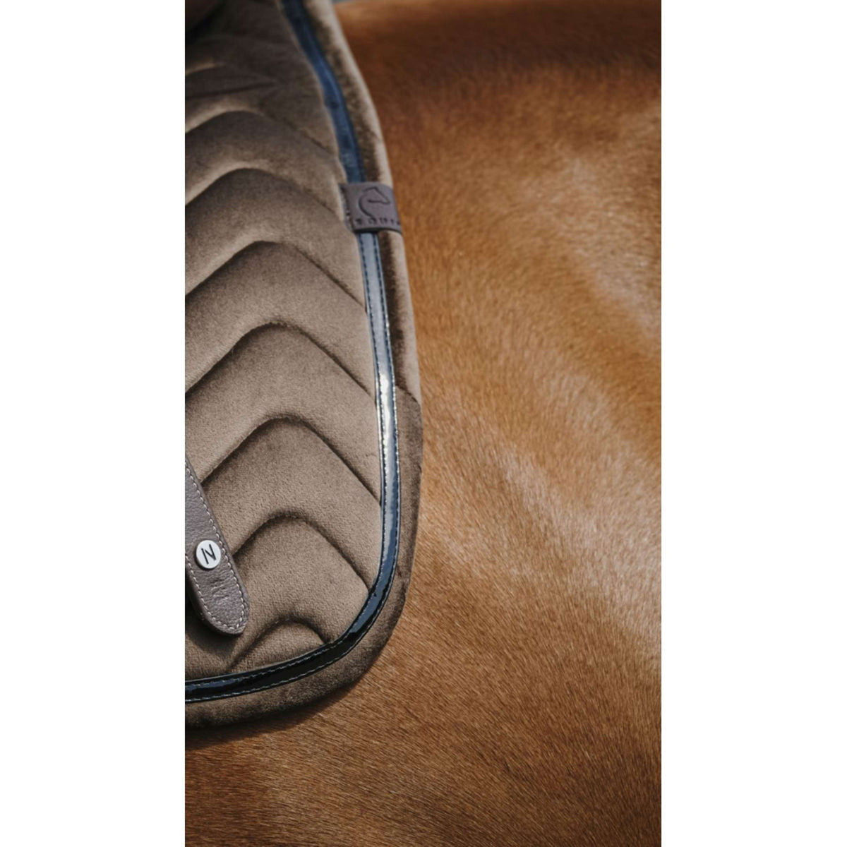 EQUITHÈME Tapis de Selle Glossy de Saut Marron