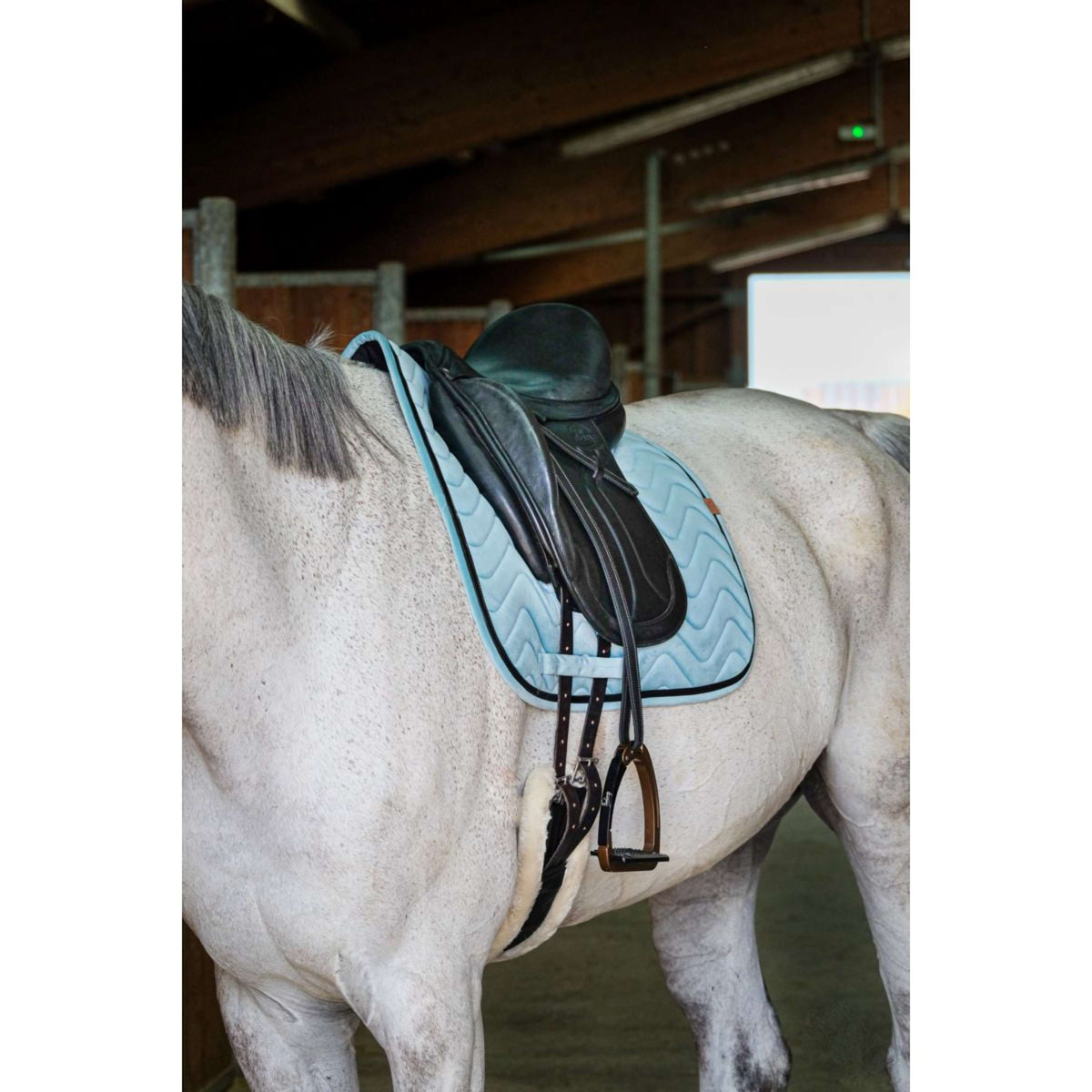 EQUITHÈME Tapis de Selle Glossy Dressage Vert clair