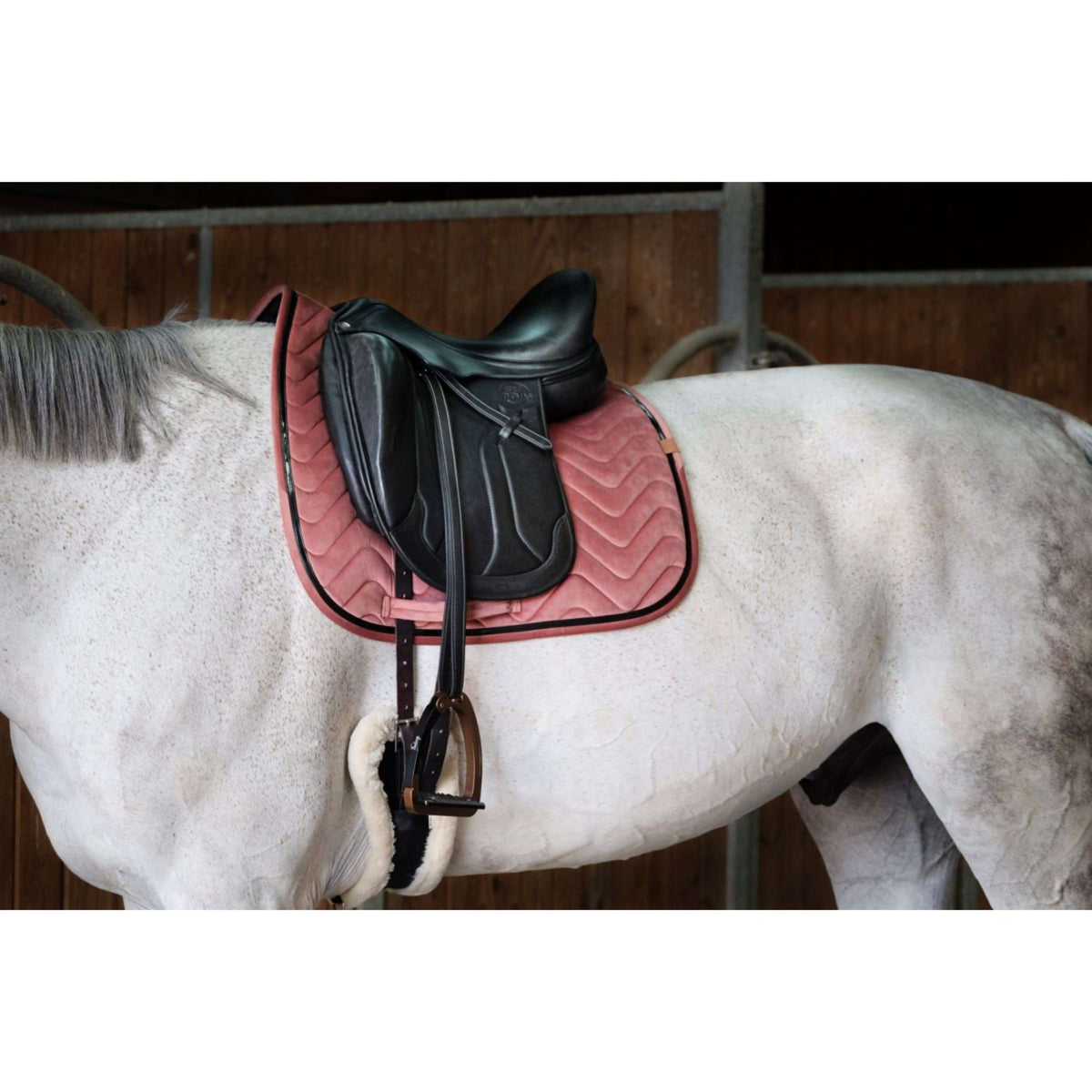 EQUITHÈME Tapis de Selle Glossy Dressage Rose Vieux