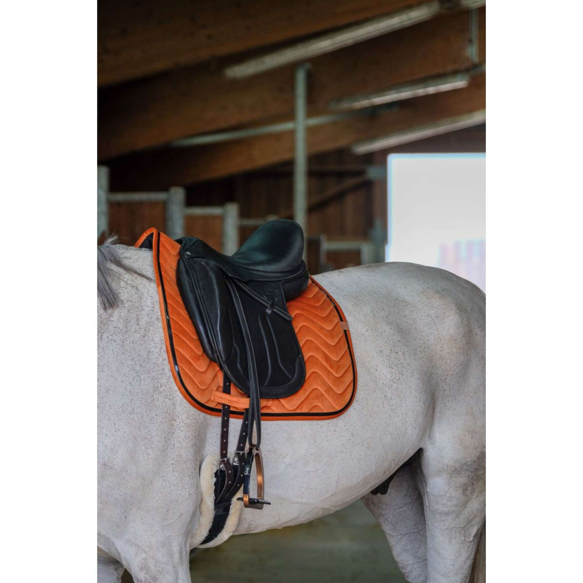 EQUITHÈME Tapis de Selle Glossy Dressage Orange