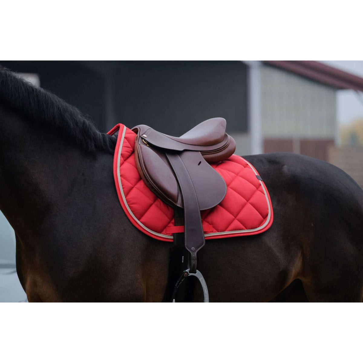Tapis de selle haut en feutre Classic Equine SensorFlex Tapis de selle haut en feutre Classic Equine SensorFlex