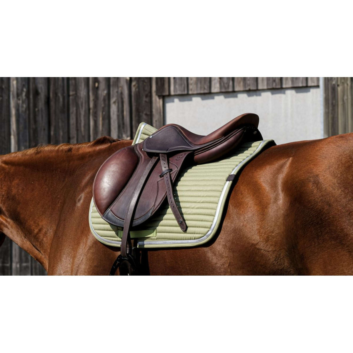Tapis de Selle et Bonnet | - Equi jump Tapis de Selle et Bonnet | - Equi jump