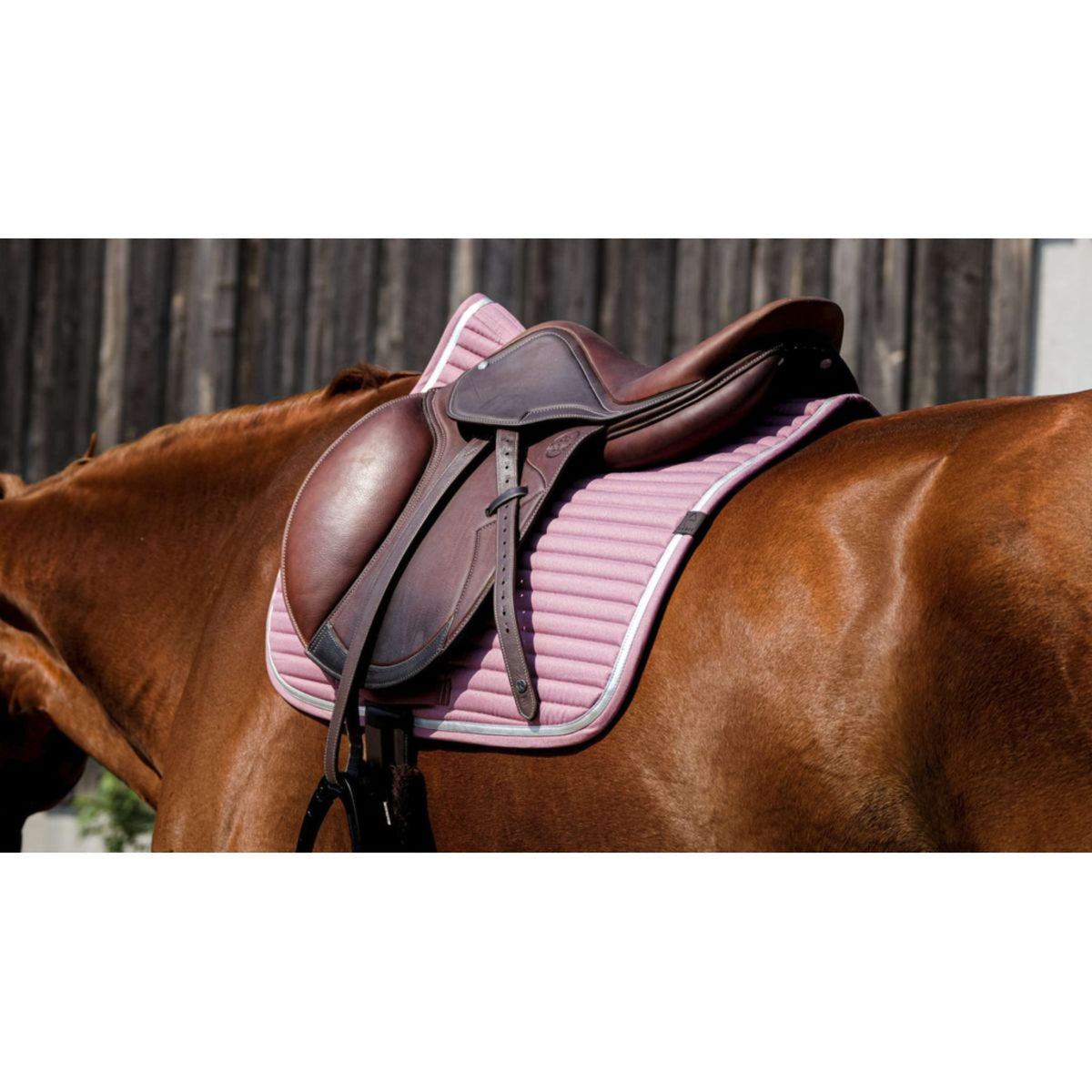 EQUITHÈME Tapis de Selle Spring de Saut Rose