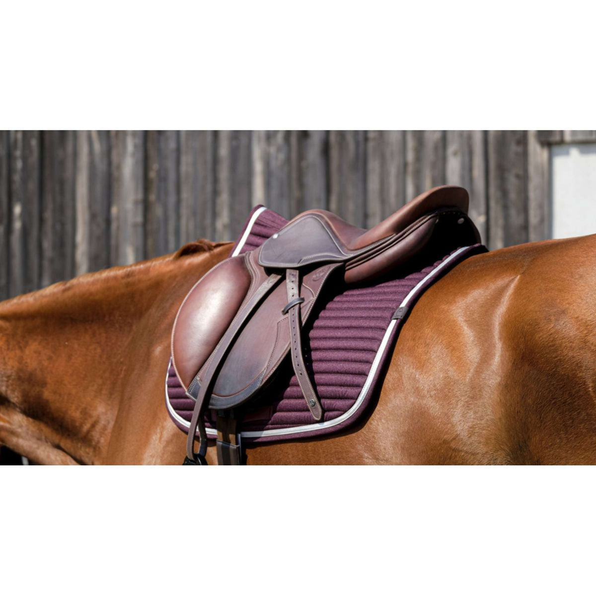 EQUITHÈME Tapis de Selle Spring de Saut Bordeaux