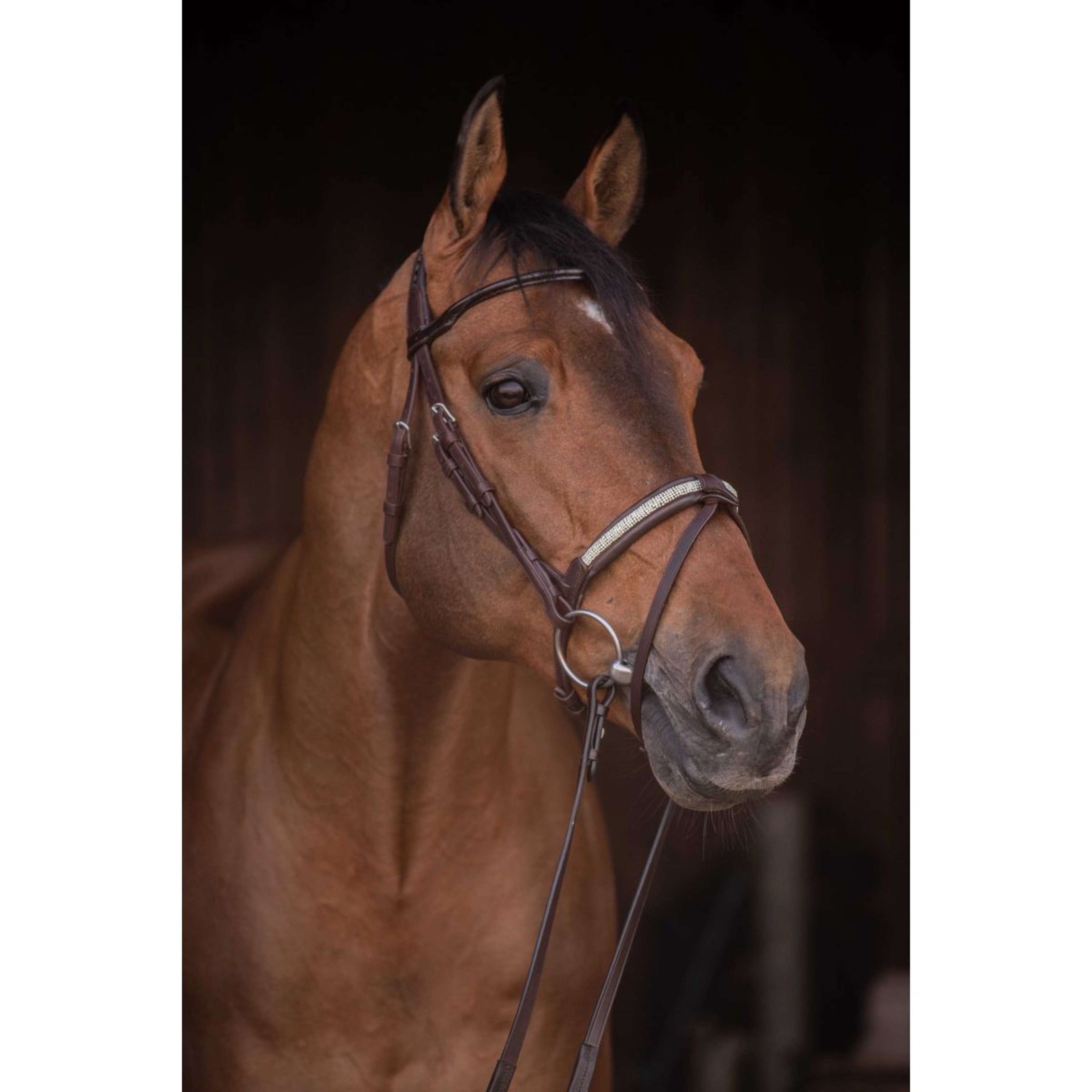 Pénélope Bride Symphonie Havane Pénélope Bride Symphonie Havane