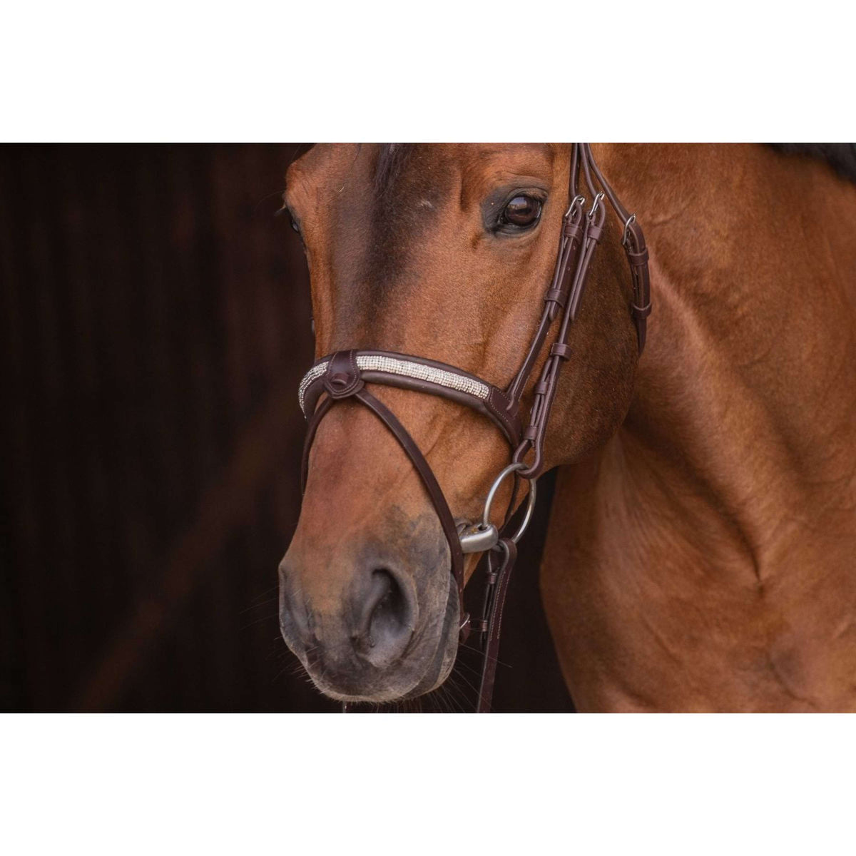 Pénélope Bride Symphonie Havane