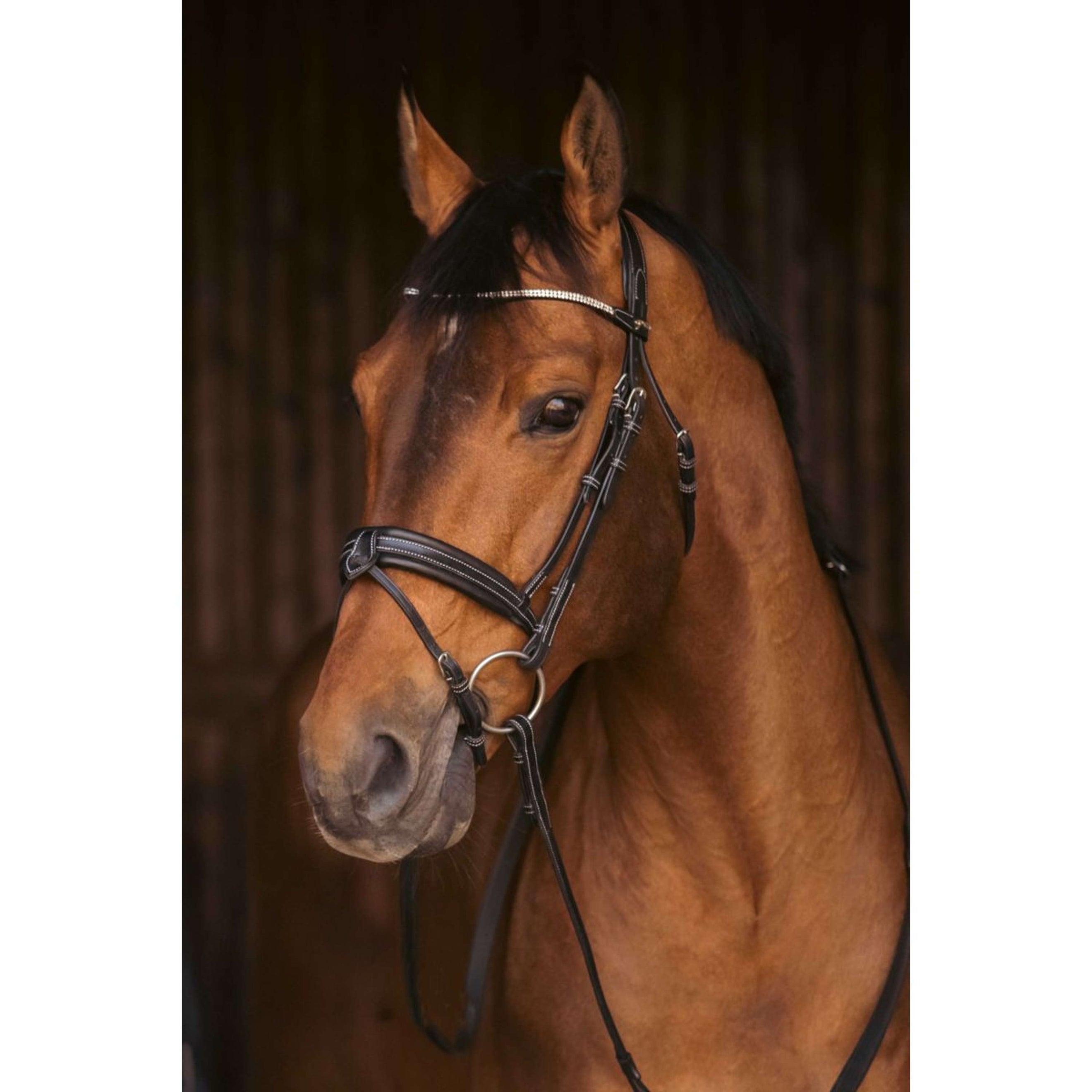 Pénélope Bride Daily Strass Noir Pénélope Bride Daily Strass Noir