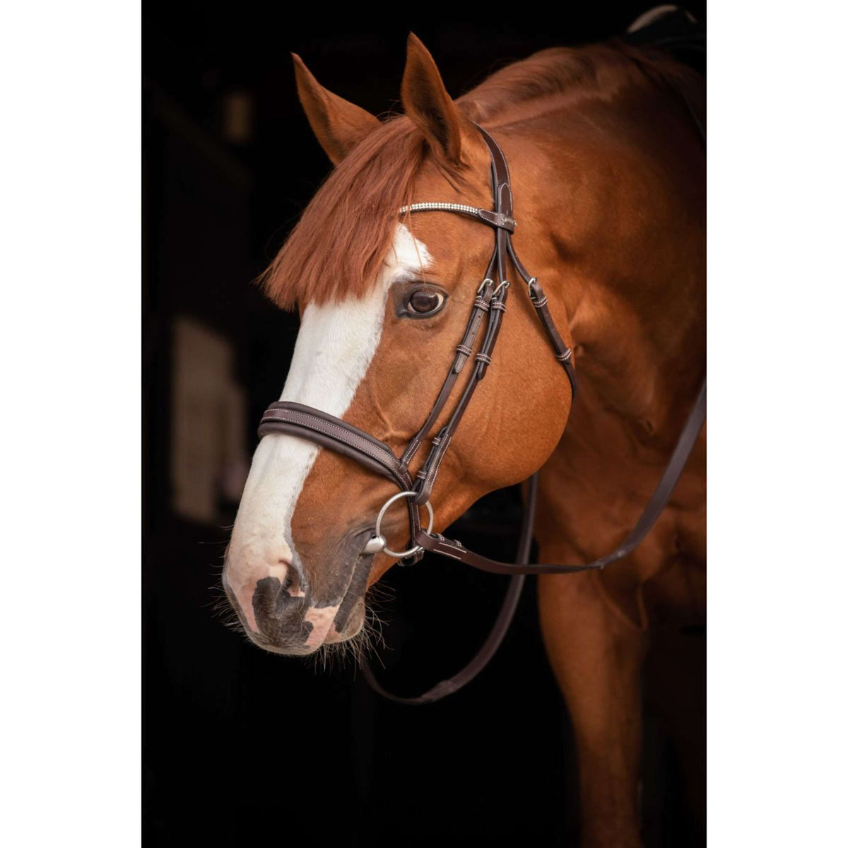 Pénélope Bride Daily Strass Havane