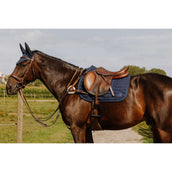 Norton Collier de Chasse 5 Points Havane