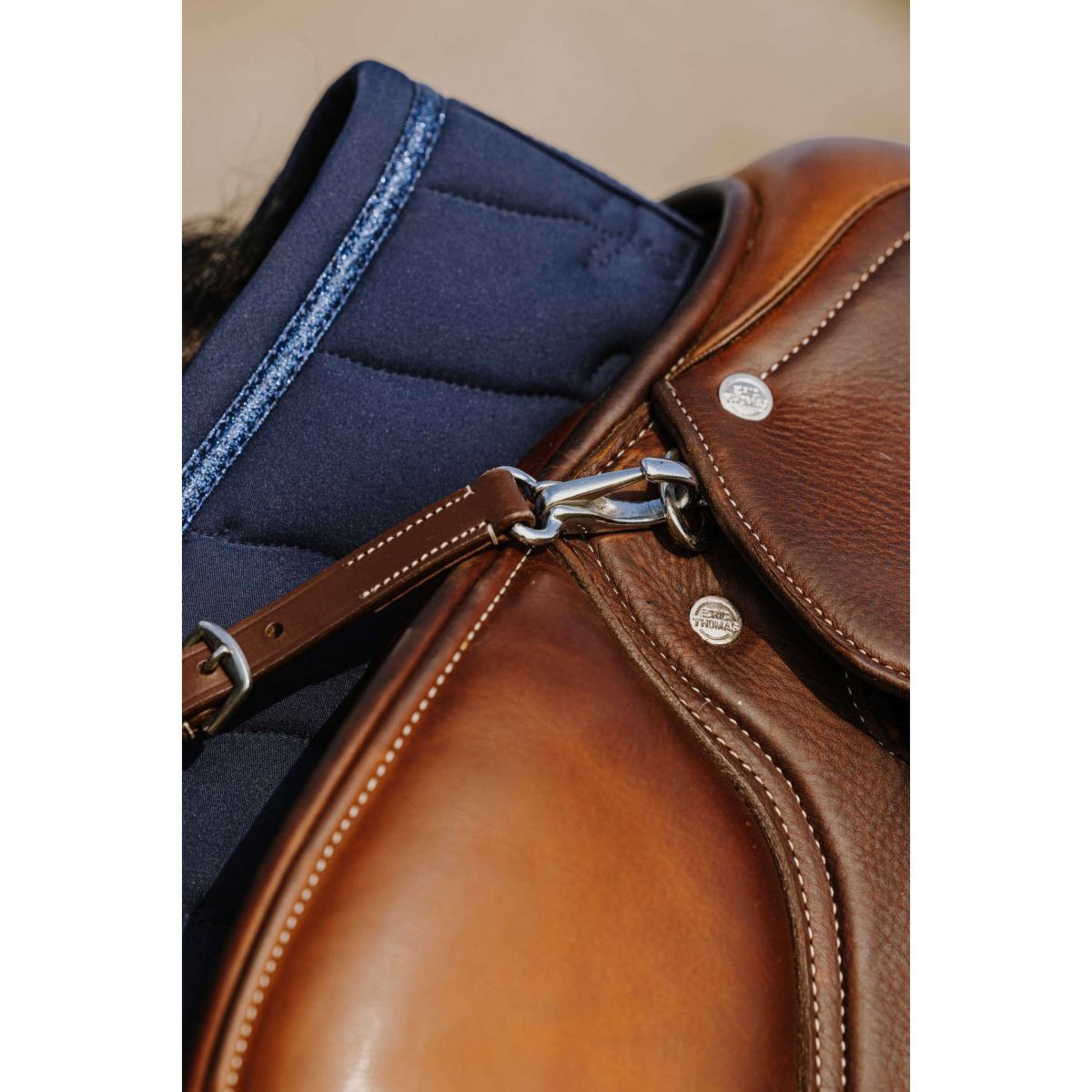 Norton Collier de Chasse 5 Points Havane