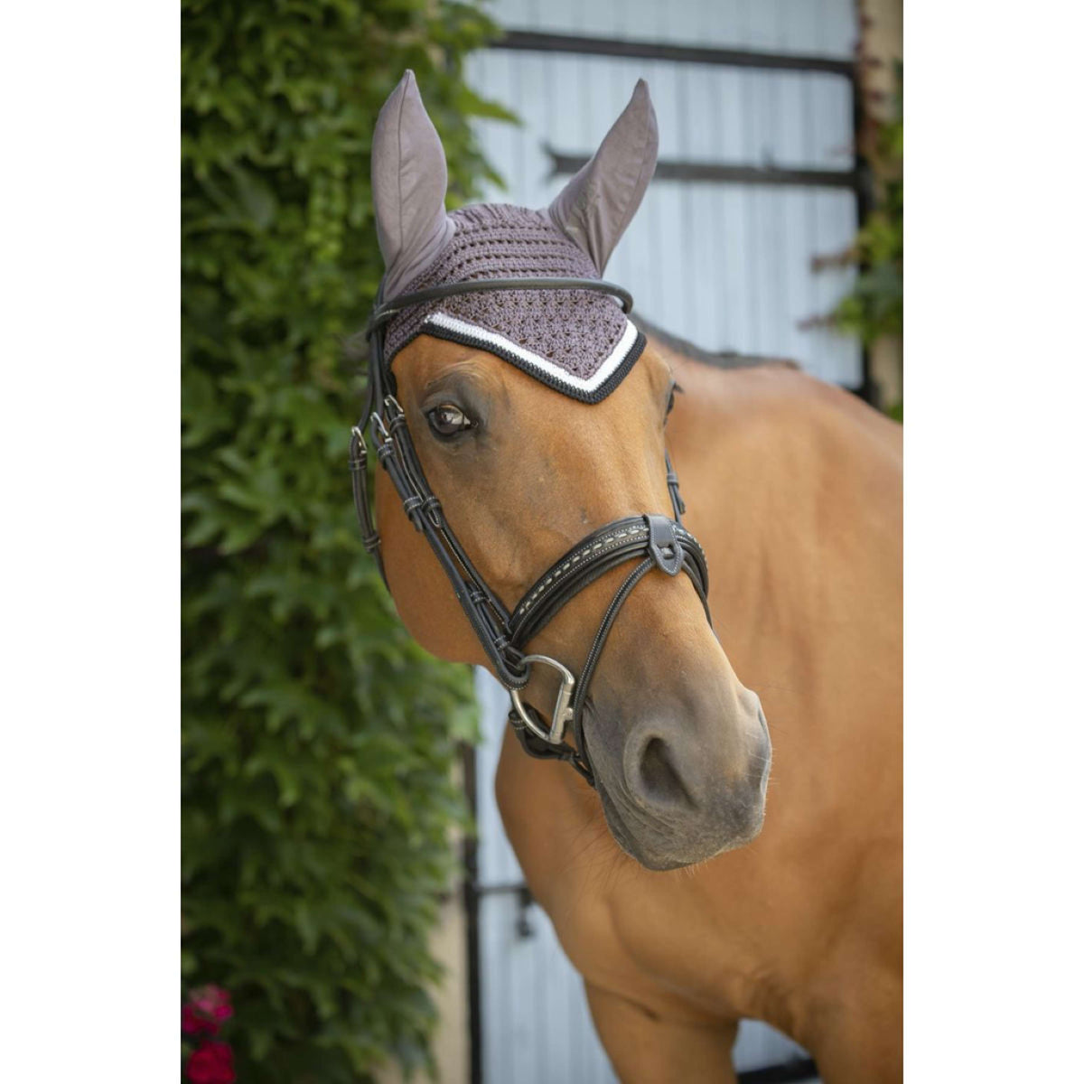 Paddock Bonnet Anti-Mouches Origine Gris foncé