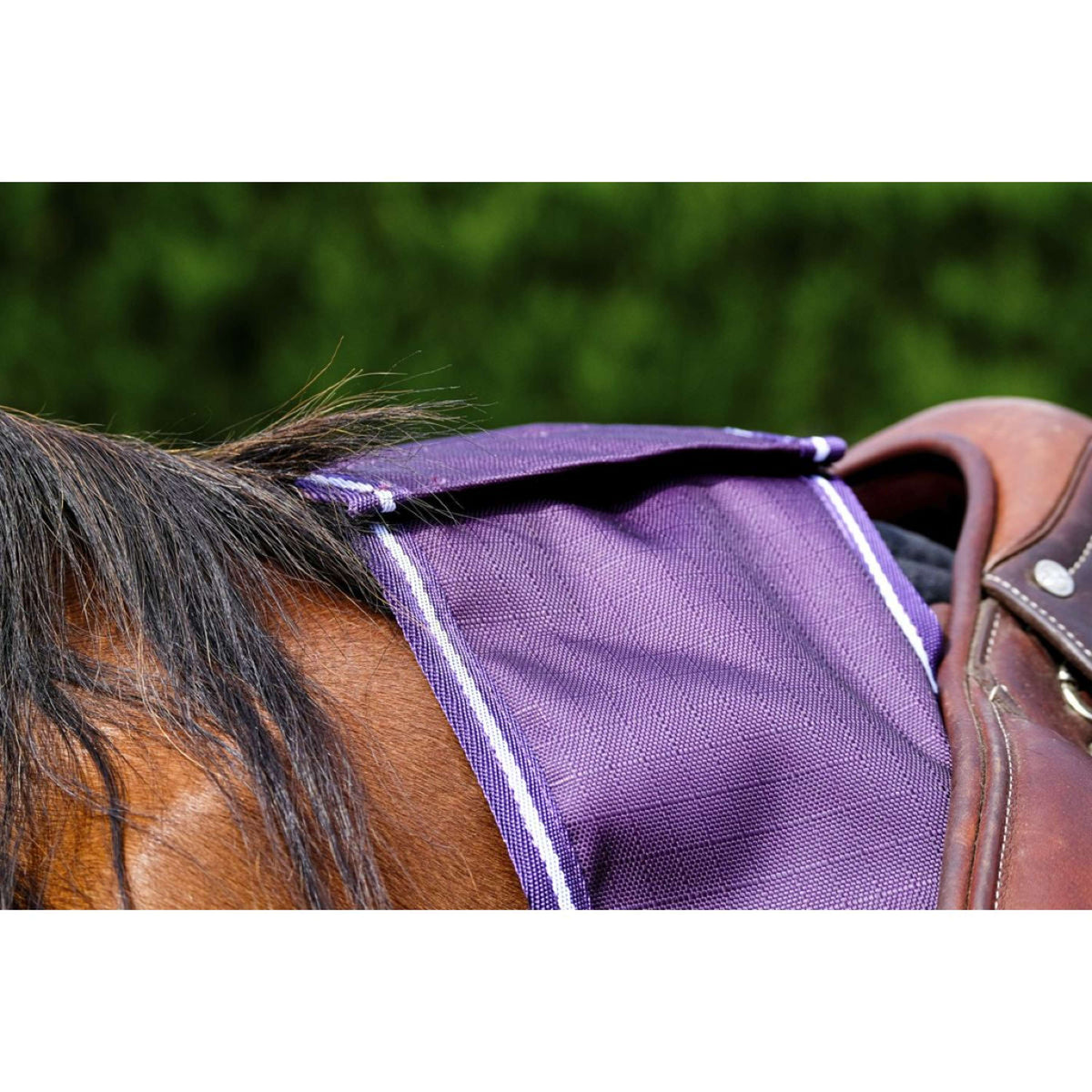 Turquoise Aqua Reins Cob taille tissé main, solide, durable, sur mesure Turquoise Aqua Reins Cob taille tissé main, solide, durable, sur mesure
