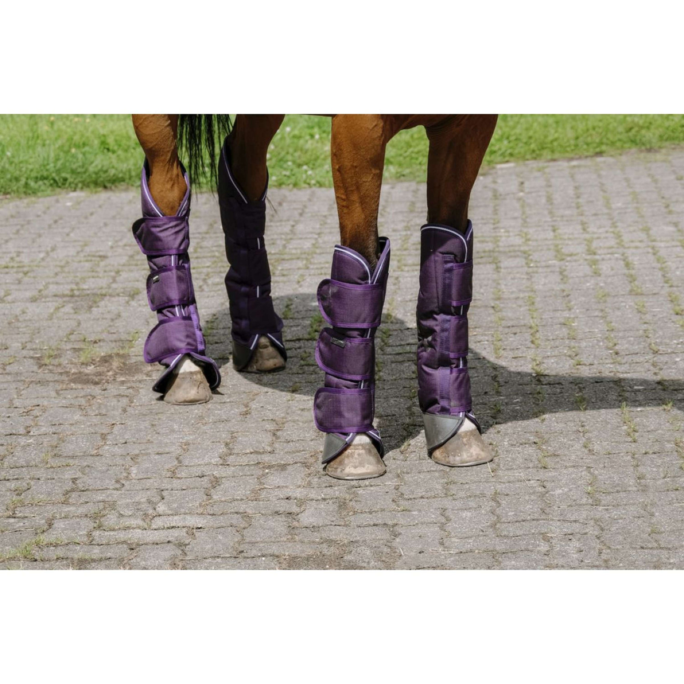 EQUITHÈME Guêtres de Transport Tyrex 600D