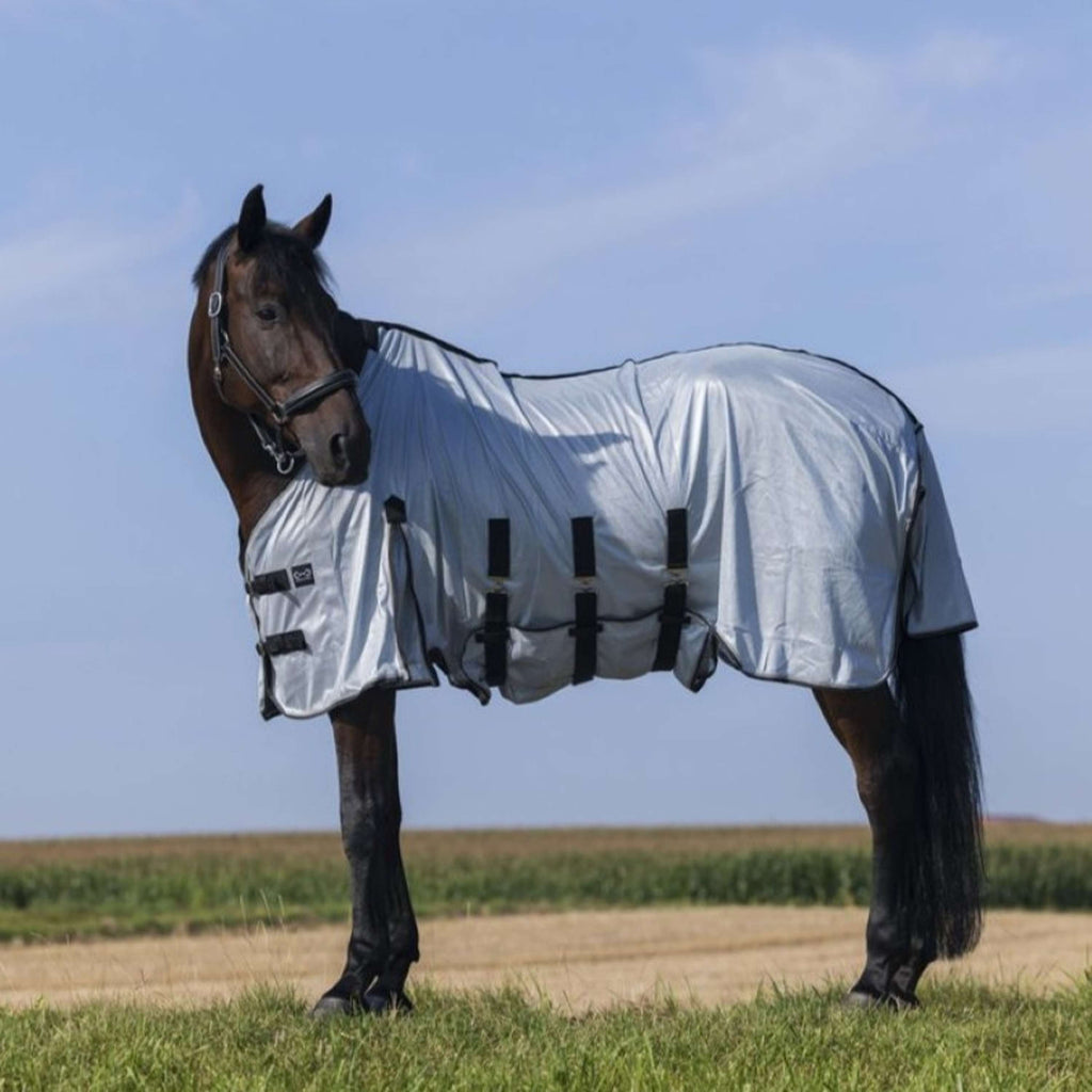Riding World Couverture Anti-Mouches Belly Mesh Gris