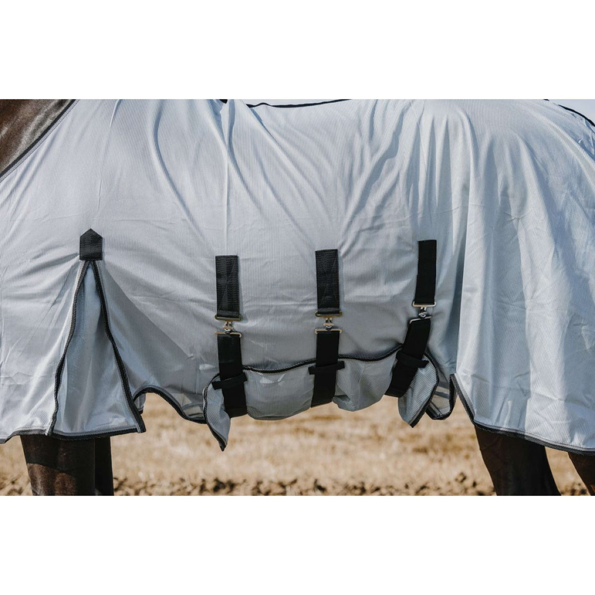 Riding World Couverture Anti-Mouches Belly Mesh Gris