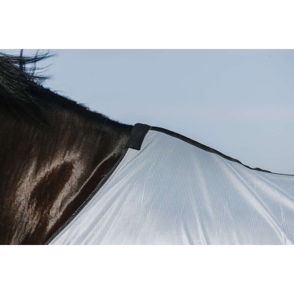 Riding World Couverture Anti-Mouches Belly Mesh Gris