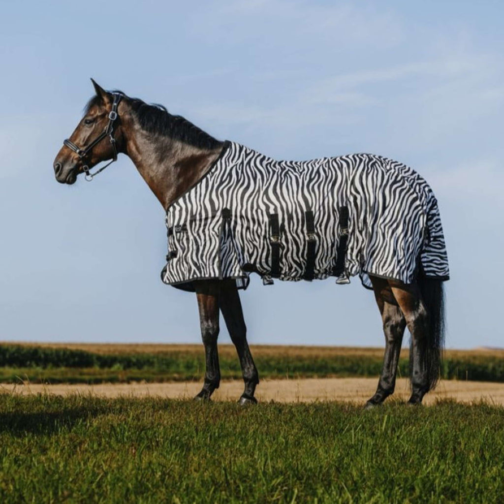 Riding World Couverture Anti-Mouches Belly Mesh Zebra