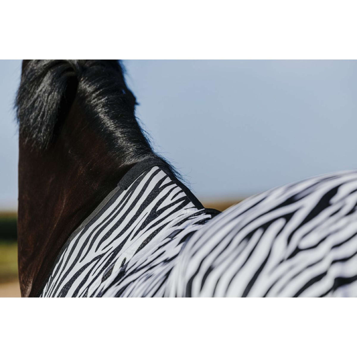 Riding World Couverture Anti-Mouches Belly Mesh Zebra