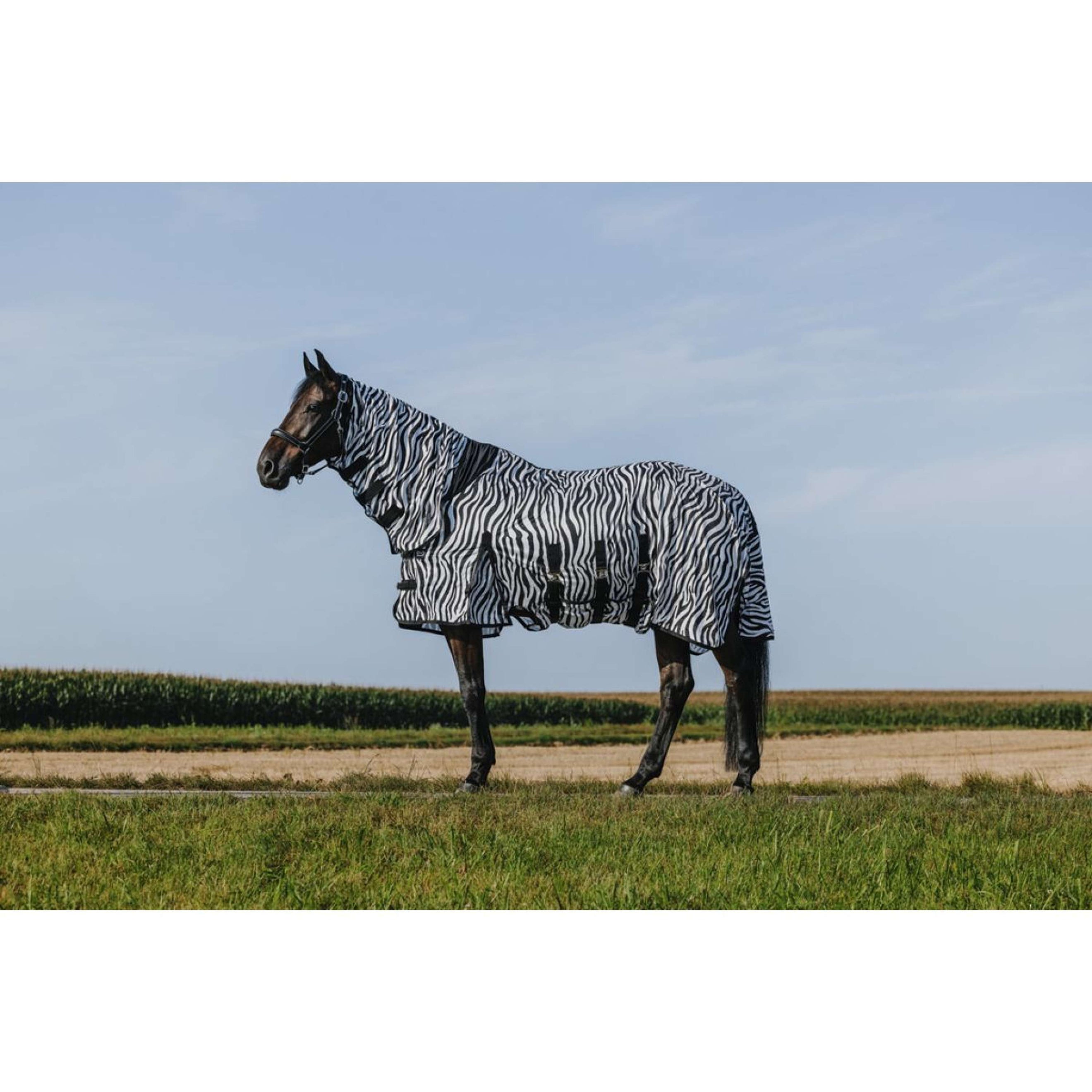 Riding World Couverture Anti-Mouches Belly Mesh Combo Zebra