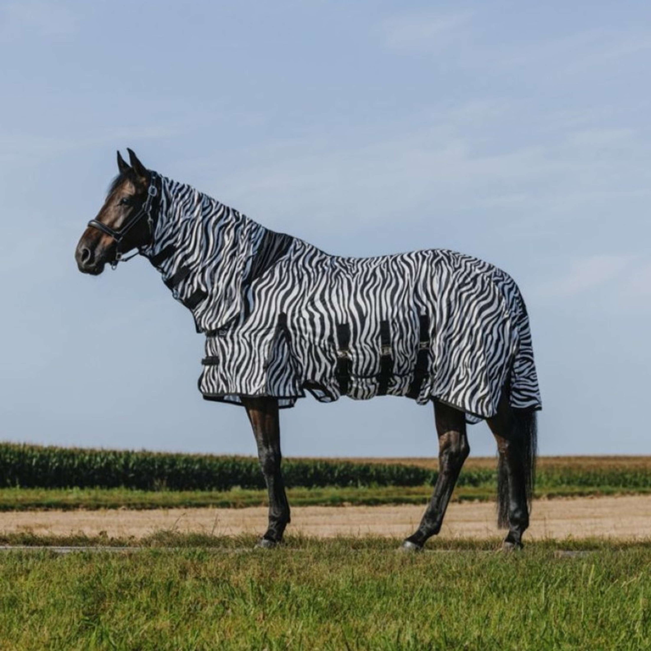 Riding World Couverture Anti-Mouches Belly Mesh Combo Zebra