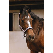 EQUITHÈME Licol Jacquard Lila