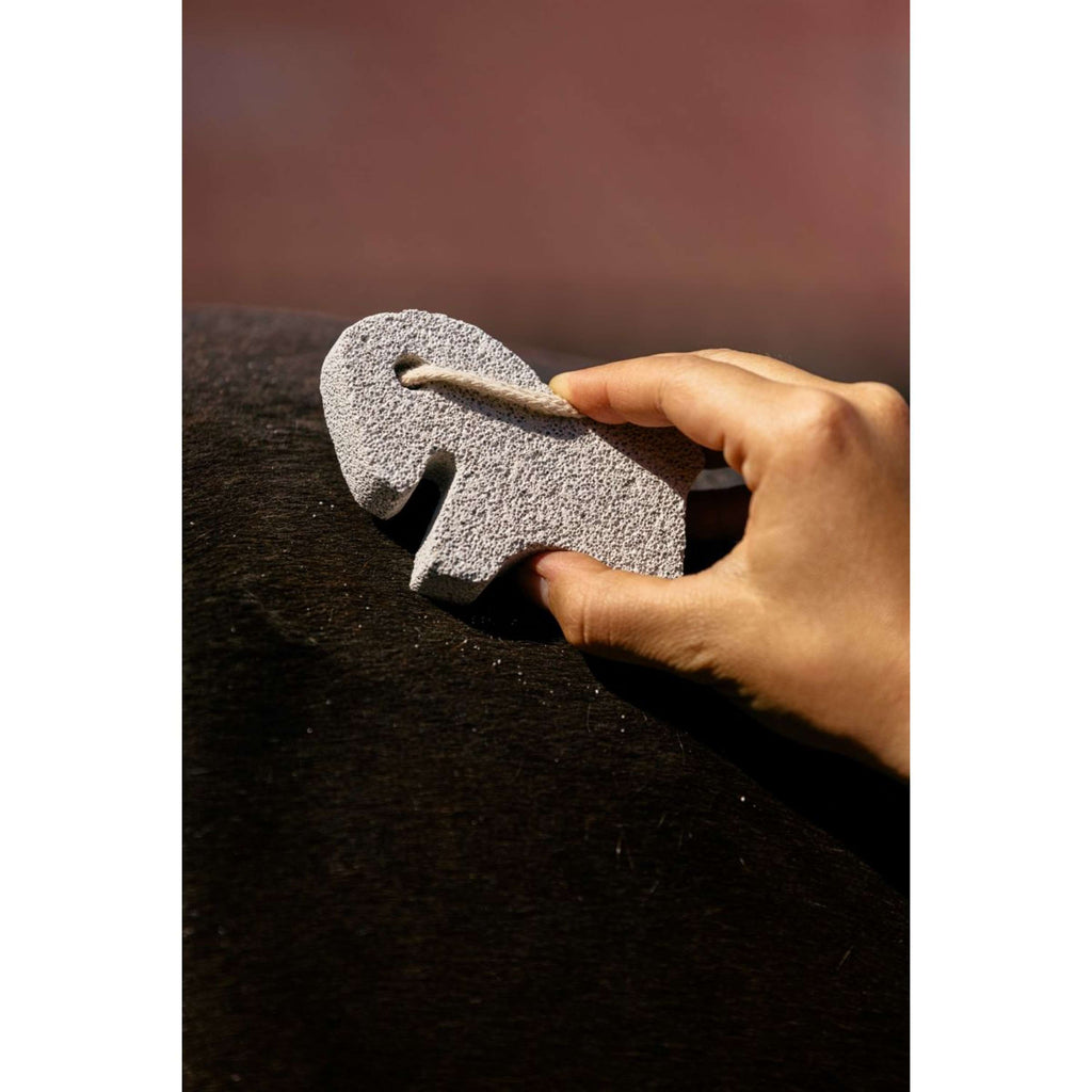 Hippotonic Moellons Horse Blanc