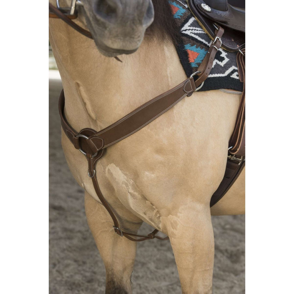 Westride Collier de Chasse Billy Choco
