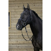 Riding World Bride avec Muserolle Combinée Noir