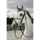 Riding World Bride avec Muserolle Mexicaine Noir