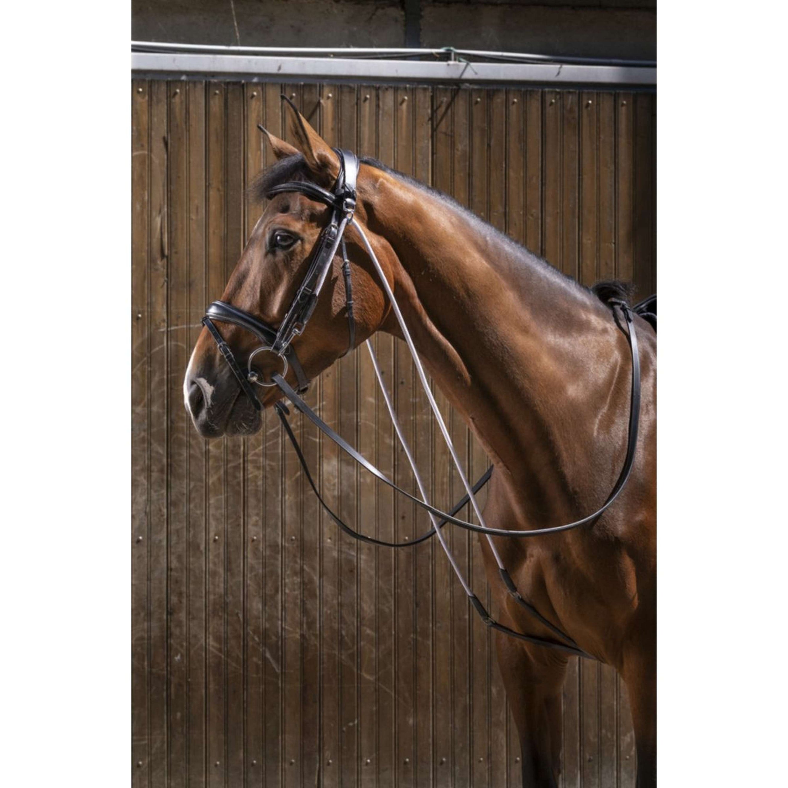 Eric Thomas Martingale Pro Noir Eric Thomas Martingale Pro Noir