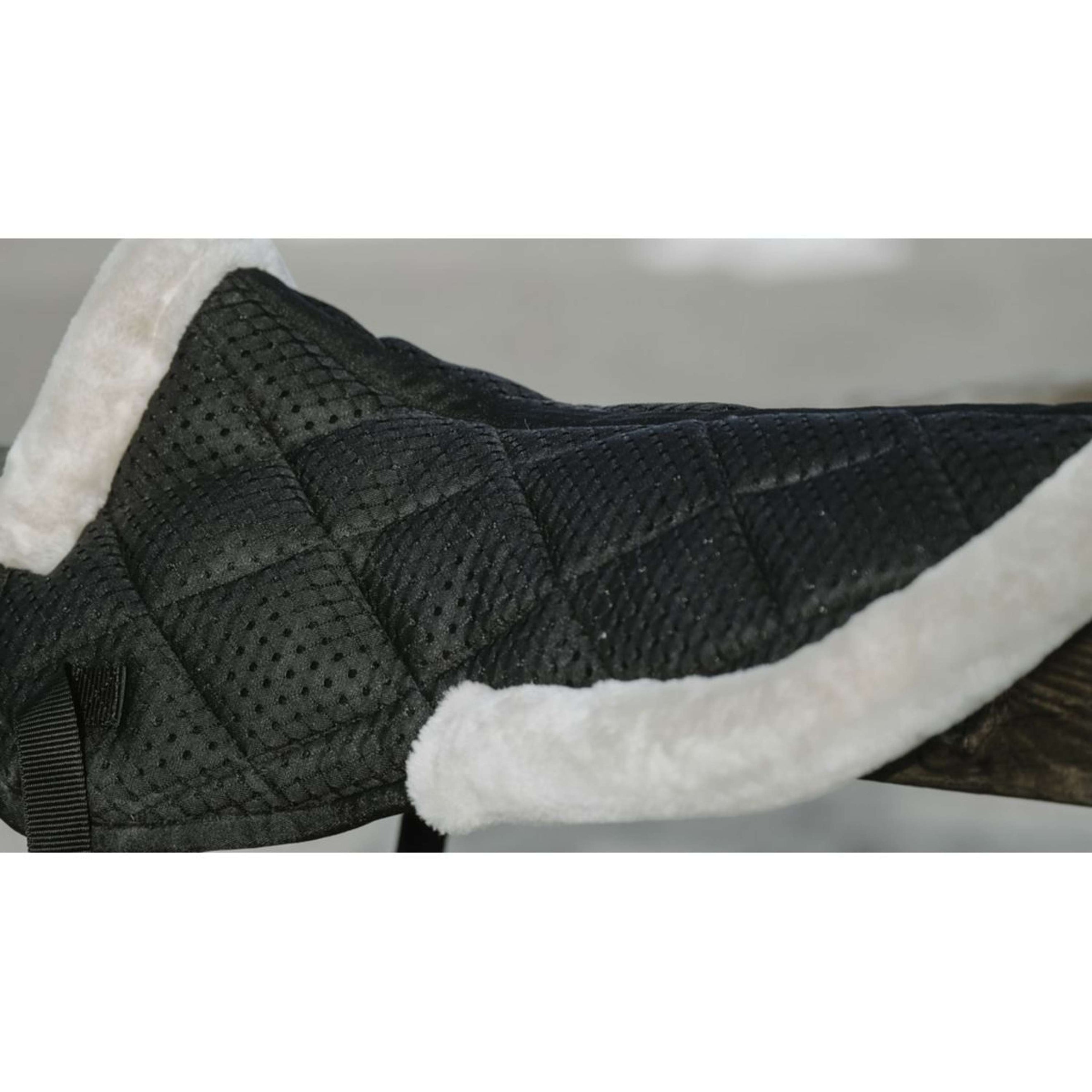 EQUITHÈME Amortisseur Pro Air Noir EQUITHÈME Amortisseur Pro Air Noir