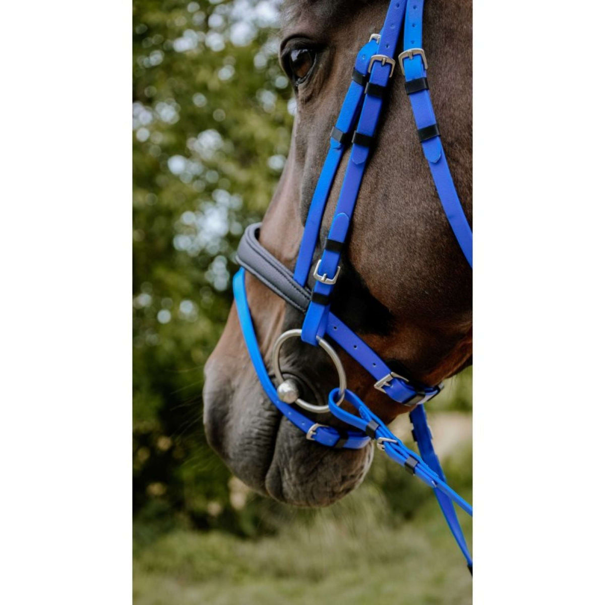Cordelette cheval – Accessoires d'équitation Cordelette cheval – Accessoires d'équitation