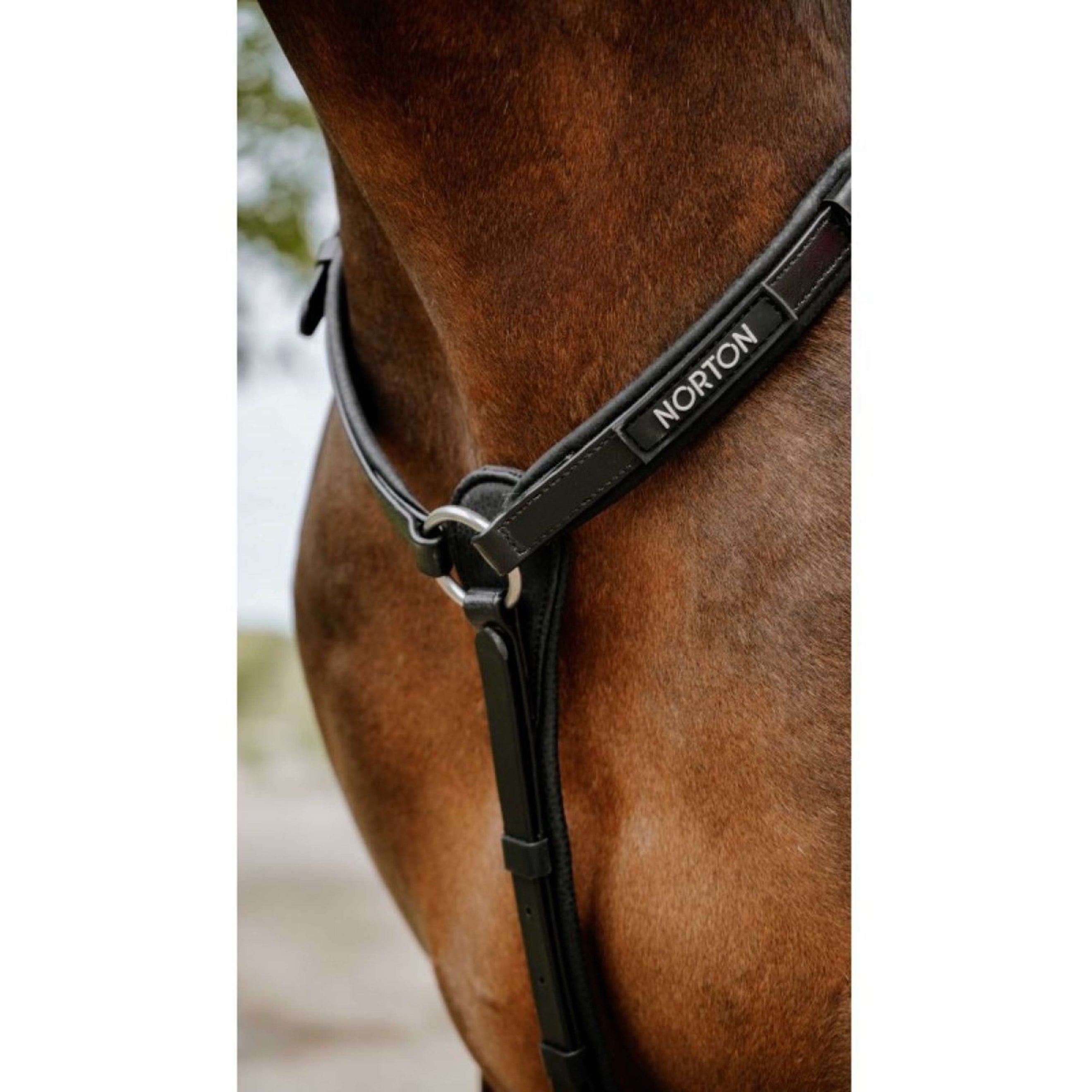 Norton Martingale Endurance Noir