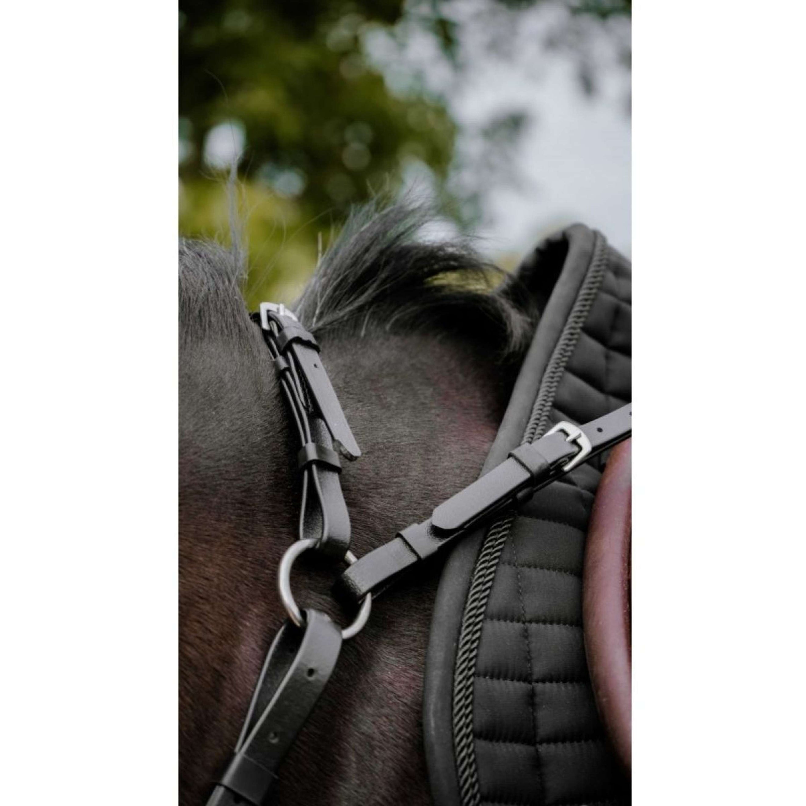 Norton Martingale Endurance Noir Norton Martingale Endurance Noir