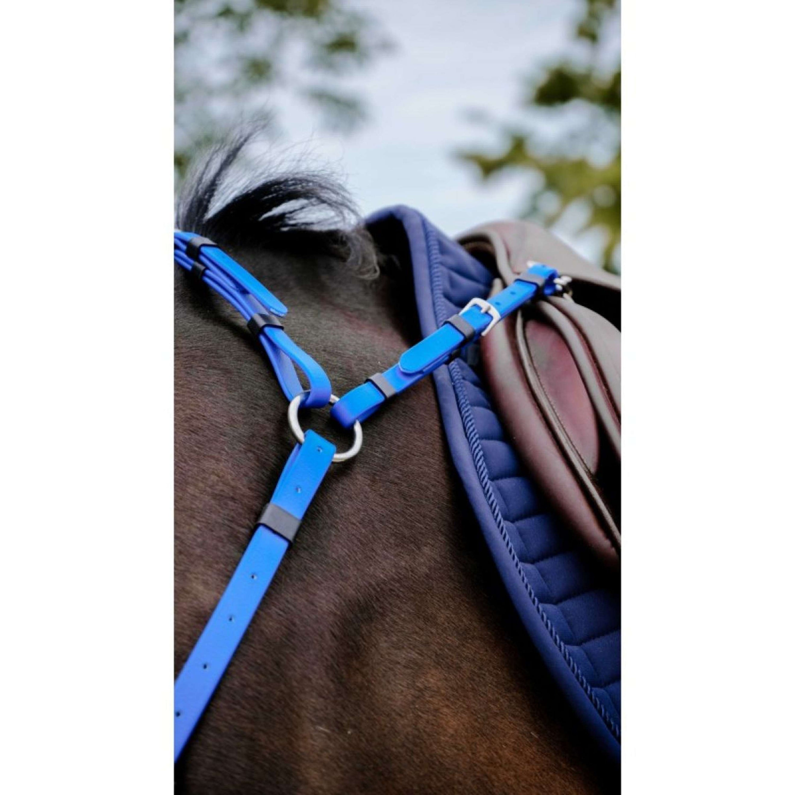 Norton Martingale Endurance Bleu Royal Norton Martingale Endurance Bleu Royal