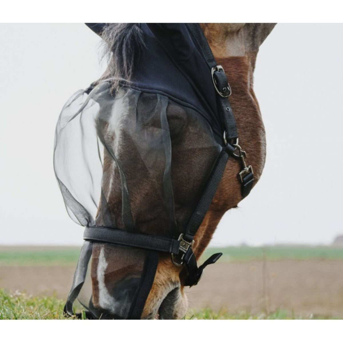 EQUITHÈME Licol avec masque Anti-UV Noir