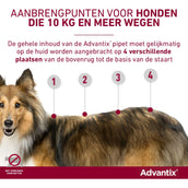 Advantix 400/2000 Spot-On Chien 25-40kg