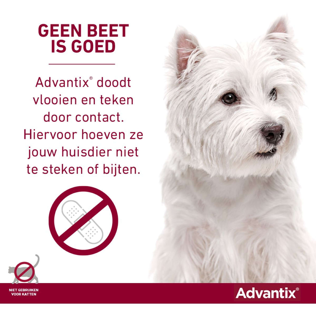 Advantix 250/1250 Spot-On Chien 10-25kg