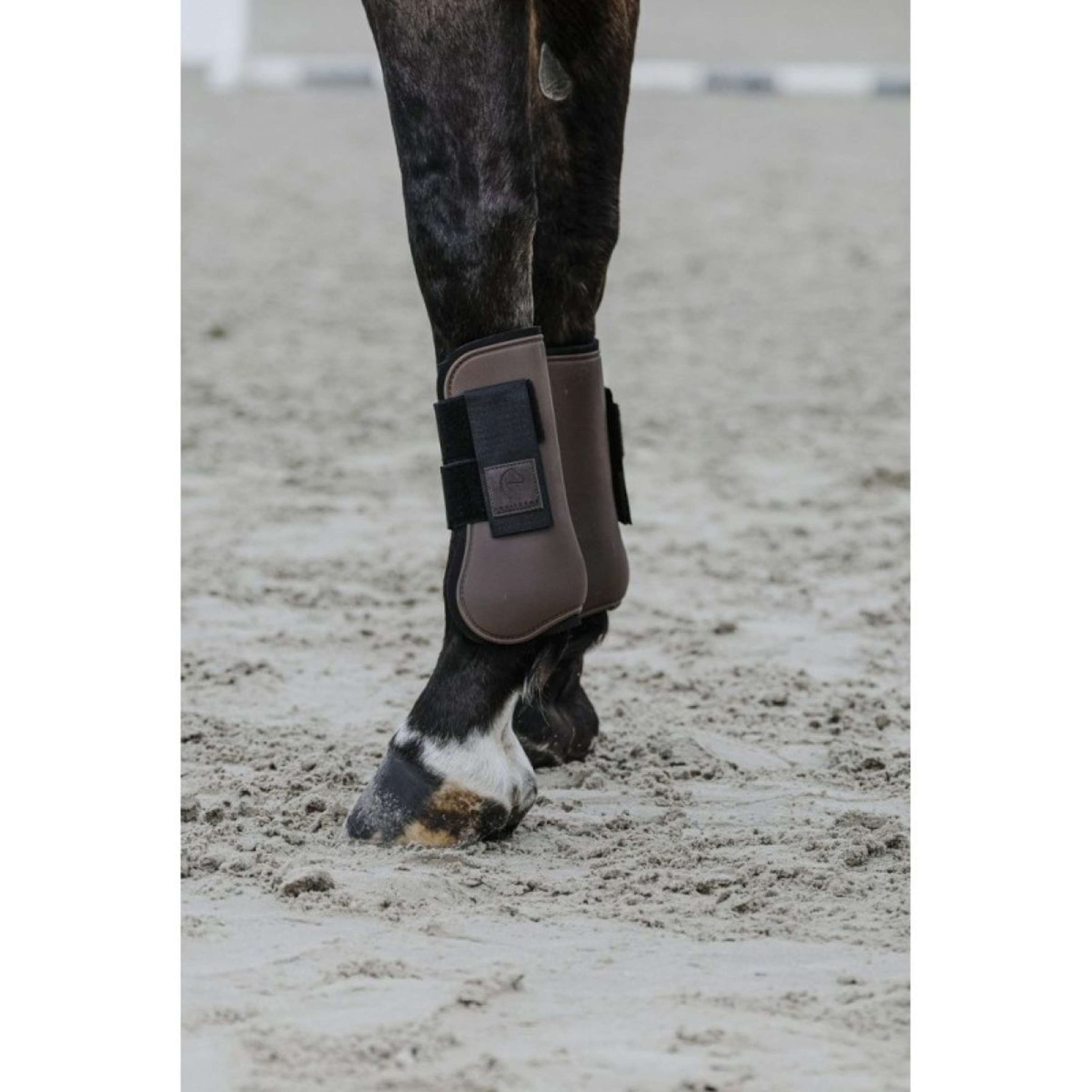 EQUITHÈME Protèges-Tendons Marron EQUITHÈME Protèges-Tendons Marron