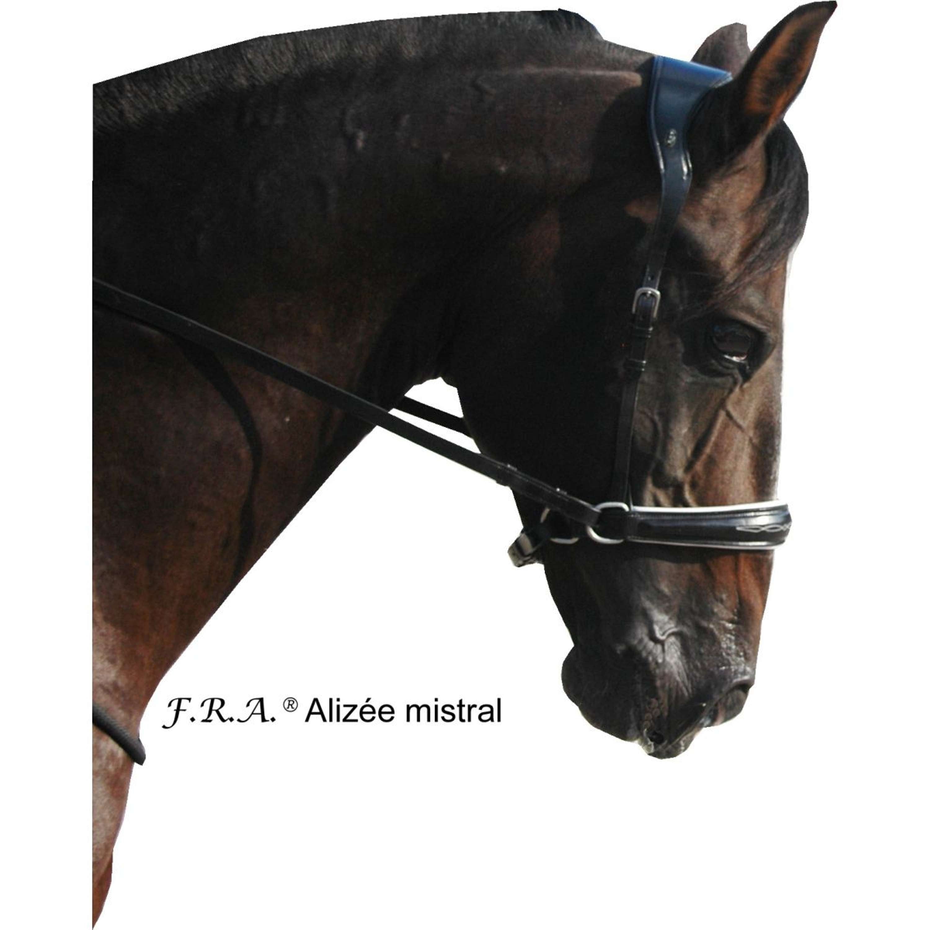 Commander Bridons sans mors et Sidepull Commander Bridons sans mors et Sidepull