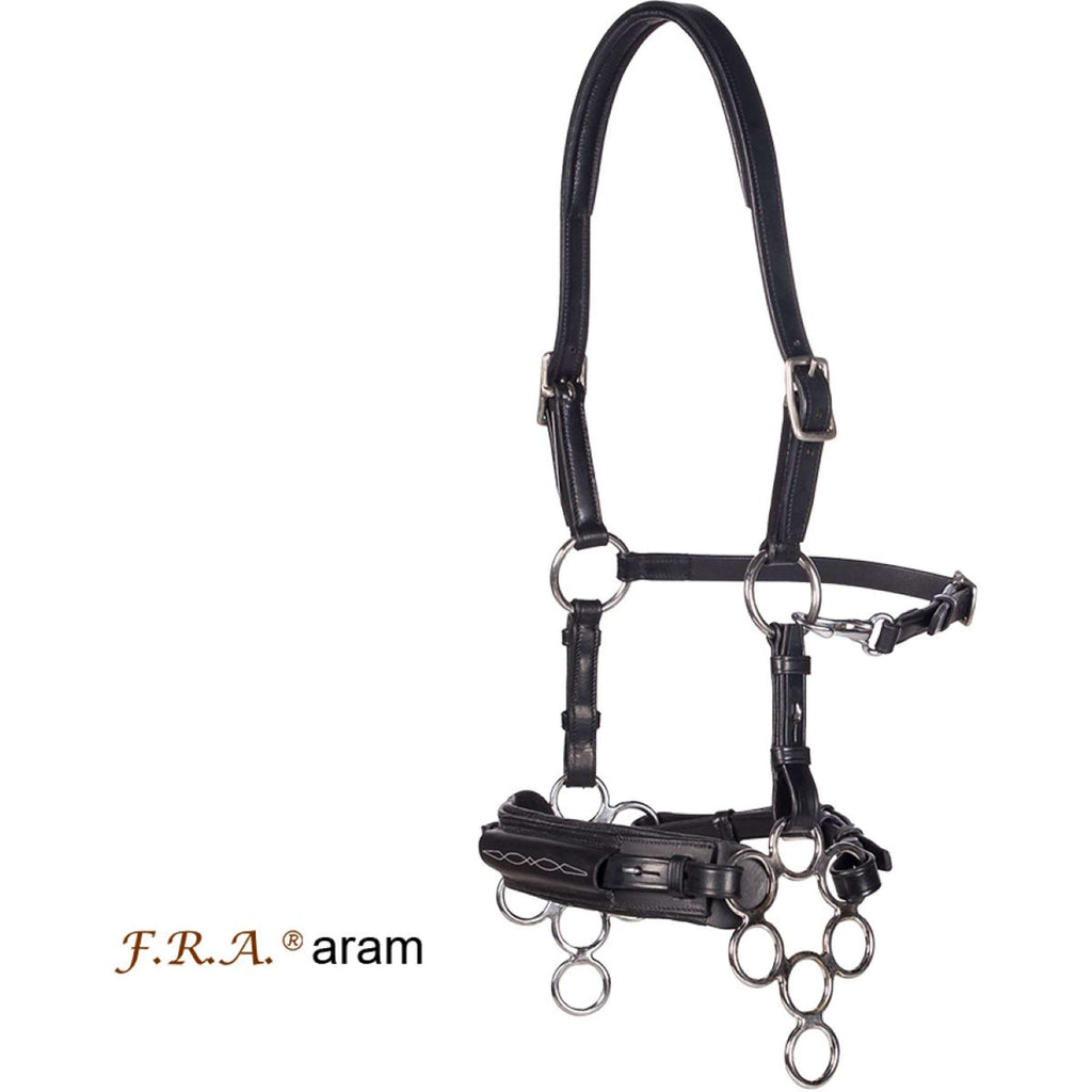 F.R.A. Hackamore Aram Cuir avec Branches Noir