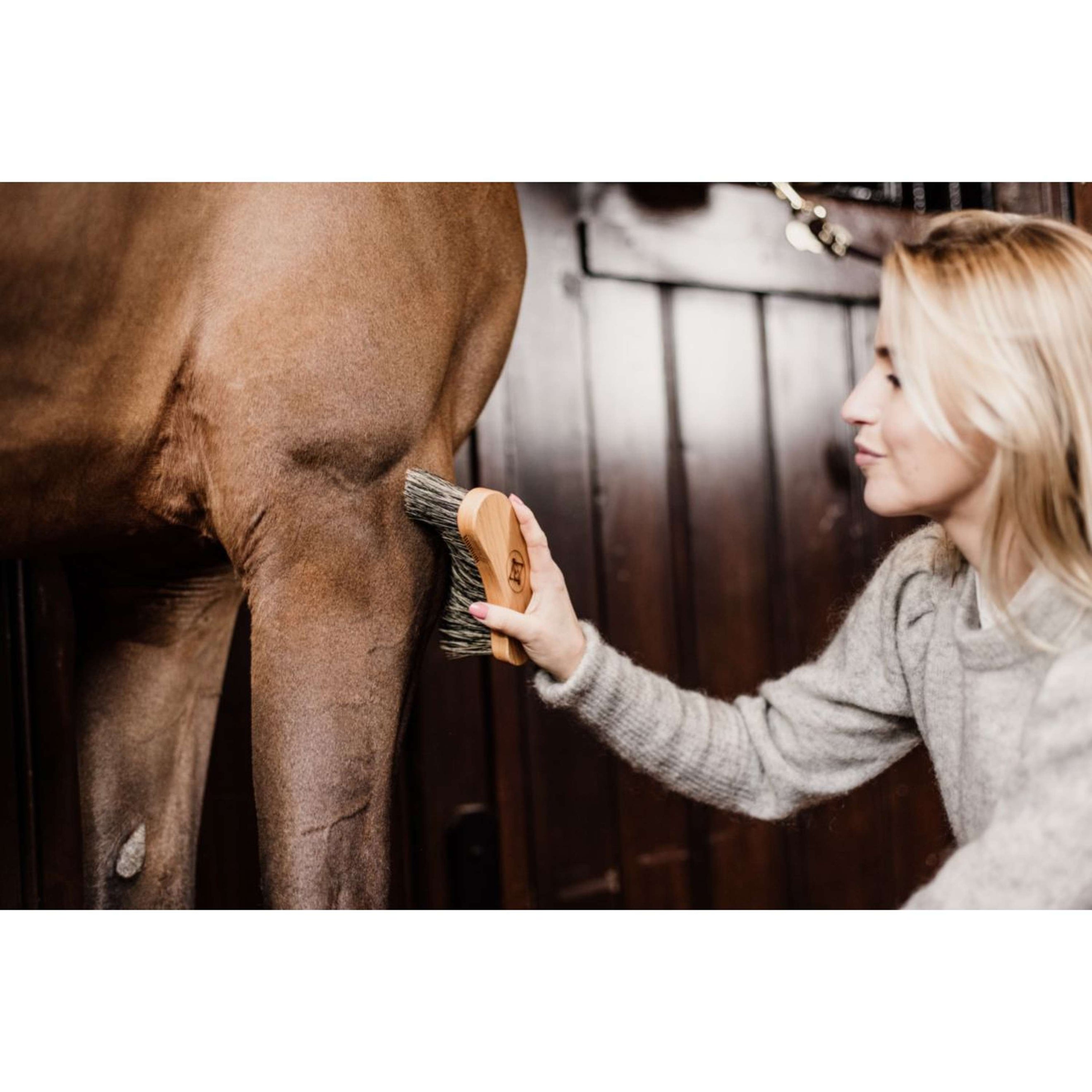 Grooming Deluxe by Kentucky Brosse Moyen Dur