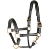 Harry's Horse Licol Cuir avec Passepoil Or